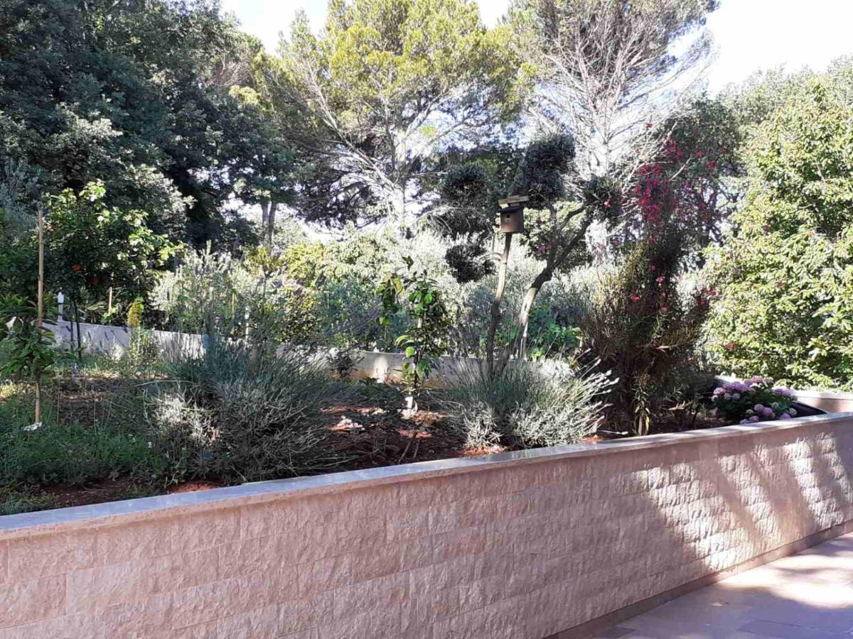Apartments Marina-Mare بوريتش المظهر الخارجي الصورة